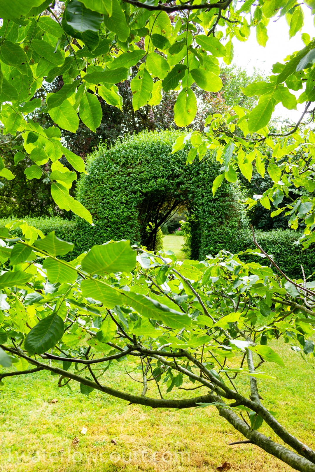 An arched hedgerow in the stunning communal gardens at Waterlow Court. Waterlow Court is an Arts & Crafts Grade II* listed building, designed by M. H. Baillie Scott, 1909. Located in Hampstead Garden Suburb, London NW11 7DT. Flat 1 Waterlow Court is a one-bedroom, ground-floor flat, and is for sale. Listed on Rightmove and Zoopla.